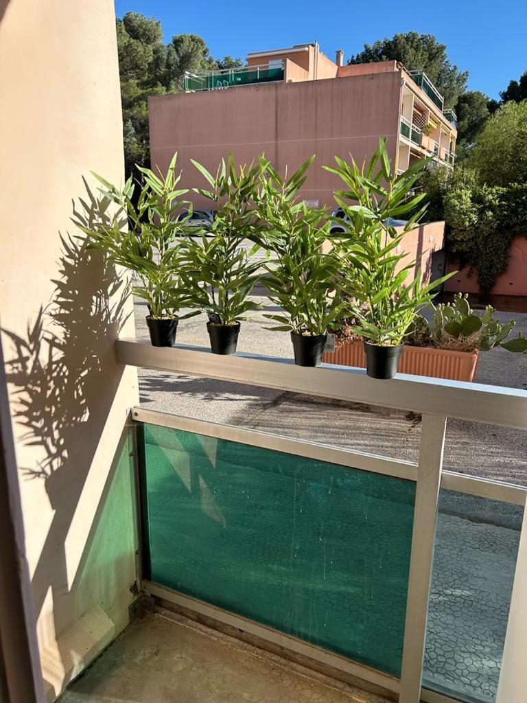 Studio Meuble Bord De Mer Bormes-les-Mimosas Bagian luar foto